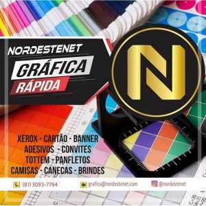 grafica-nordestenet-7