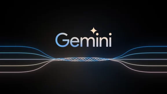 Gemini Racismo